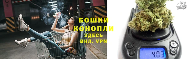 гидра Горняк