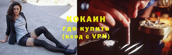 ПСИЛОЦИБИНОВЫЕ ГРИБЫ Горно-Алтайск