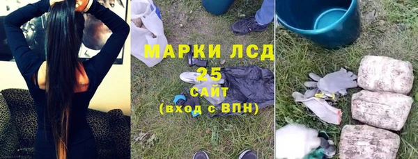ПСИЛОЦИБИНОВЫЕ ГРИБЫ Горно-Алтайск