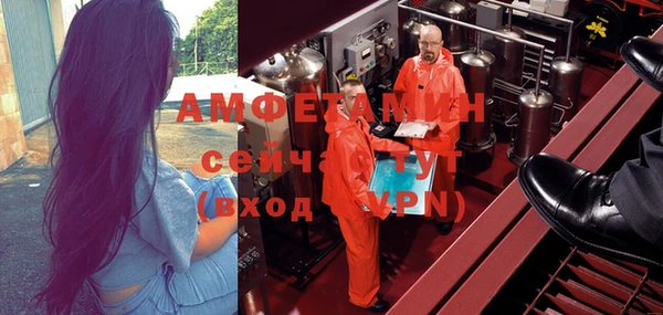 гидра Горняк