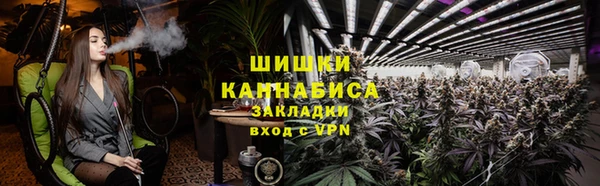 ПСИЛОЦИБИНОВЫЕ ГРИБЫ Горно-Алтайск