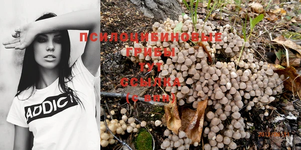 гидра Горняк