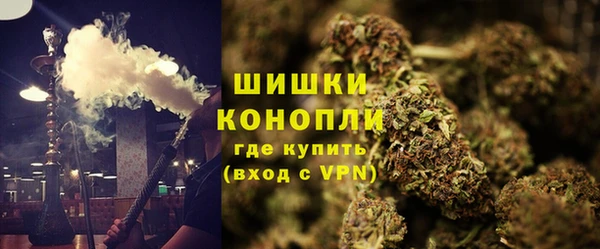 ПСИЛОЦИБИНОВЫЕ ГРИБЫ Горно-Алтайск