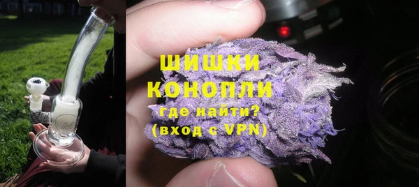 ПСИЛОЦИБИНОВЫЕ ГРИБЫ Горно-Алтайск