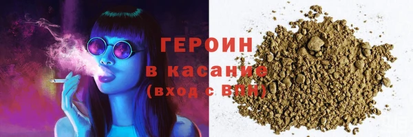 гидра Горняк