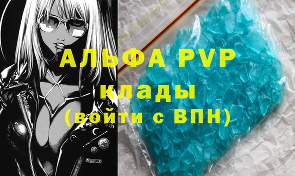 ПСИЛОЦИБИНОВЫЕ ГРИБЫ Горно-Алтайск