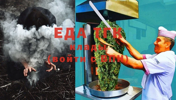 гидра Горняк