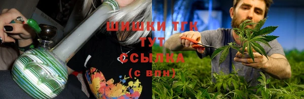 гидра Горняк