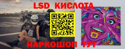 шишки Изобильный