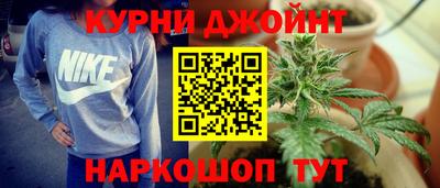 шишки Изобильный
