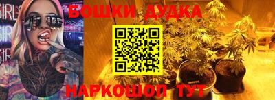 шишки Изобильный