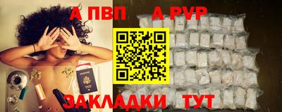 шишки Изобильный