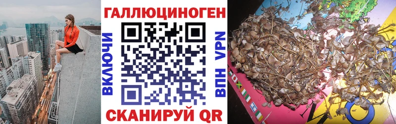 Галлюциногенные грибы GOLDEN TEACHER  наркота  Москва 
