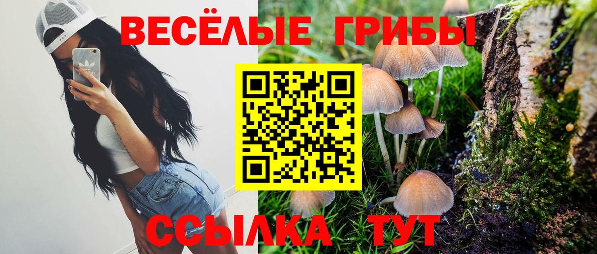 Псилоцибиновые грибы мицелий Москва